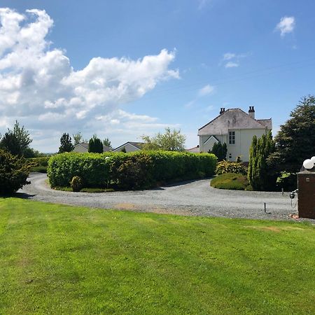 The Annexe - Spacious 2 Bedroom Detached Cottage Cardigan Exteriör bild